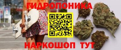 спиды Канаш